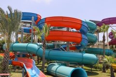 9-LARLEQUIN-GLISSE-VERTE