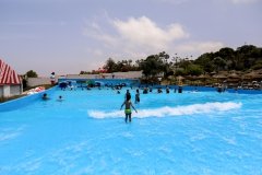 20-TAMARIS-PLAGE-GLISSE-VERTE