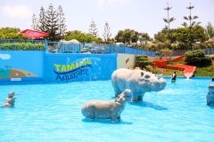 2-TWISTIE-PARADIS-GLISSE-VERTE