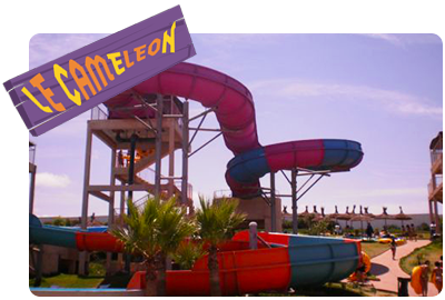 Le cameleon
